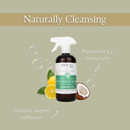 PROV 31™ Household Essentials Everyday Spray Cleaner