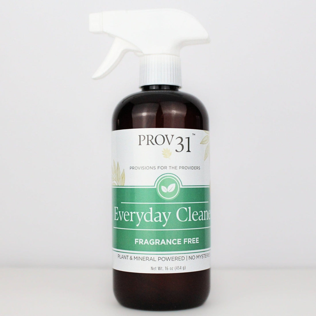 PROV 31™ Household Essentials Everyday Spray Cleaner