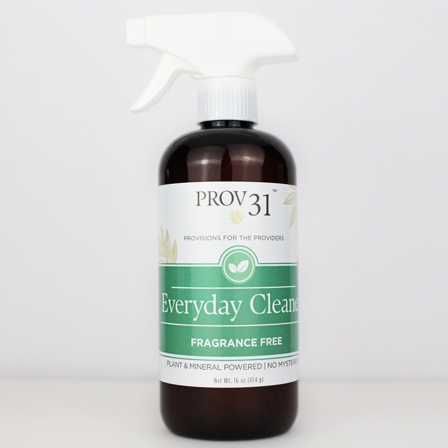 PROV 31™ Household Essentials Everyday Spray Cleaner
