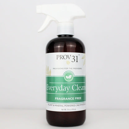 PROV 31™ Household Essentials Everyday Spray Cleaner
