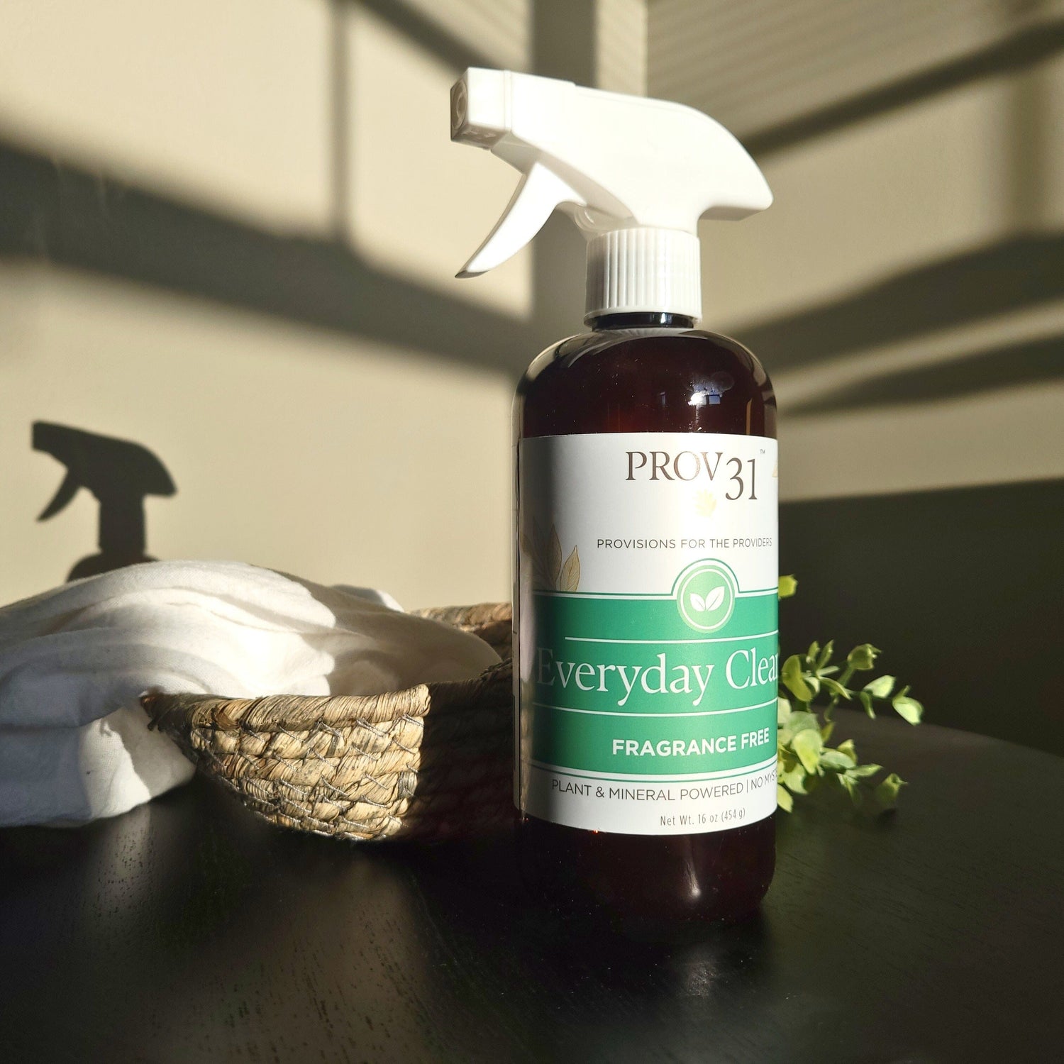 PROV 31™ Household Essentials Everyday Spray Cleaner