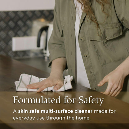 PROV 31™ Household Essentials Everyday Spray Cleaner