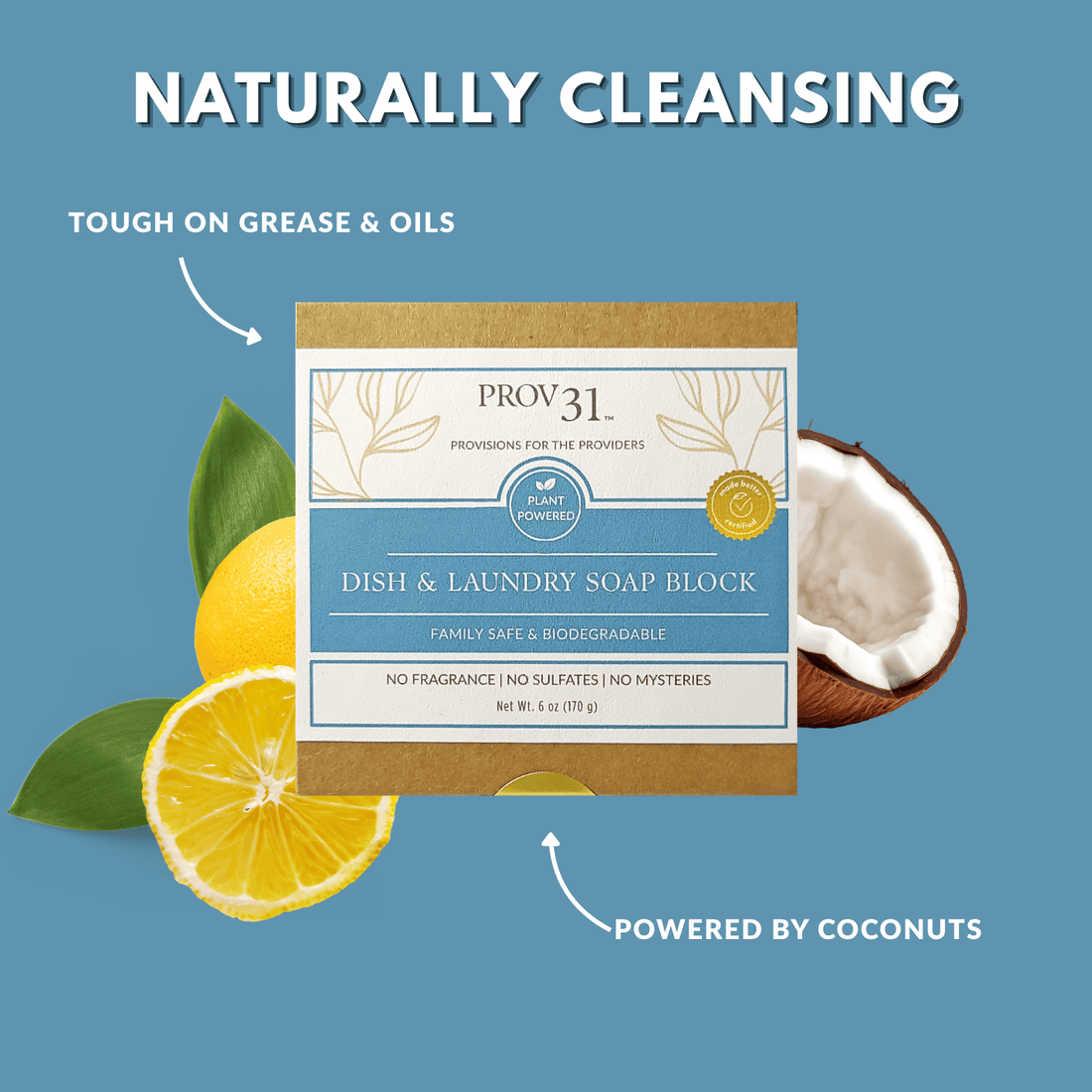 Dish &amp; Laundry Soap Block