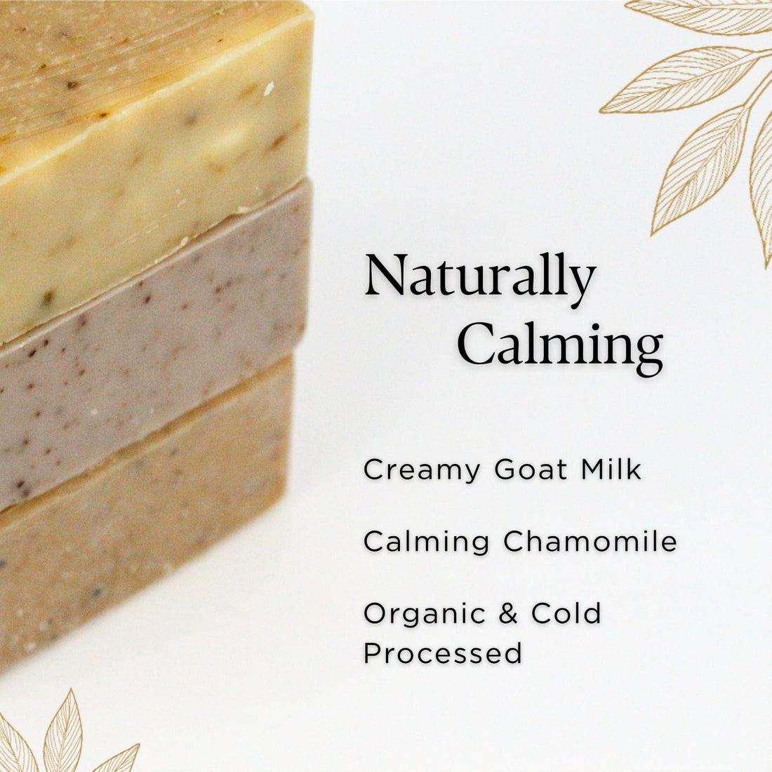 PROV 31™ Soap Bar Soap: Meadow&