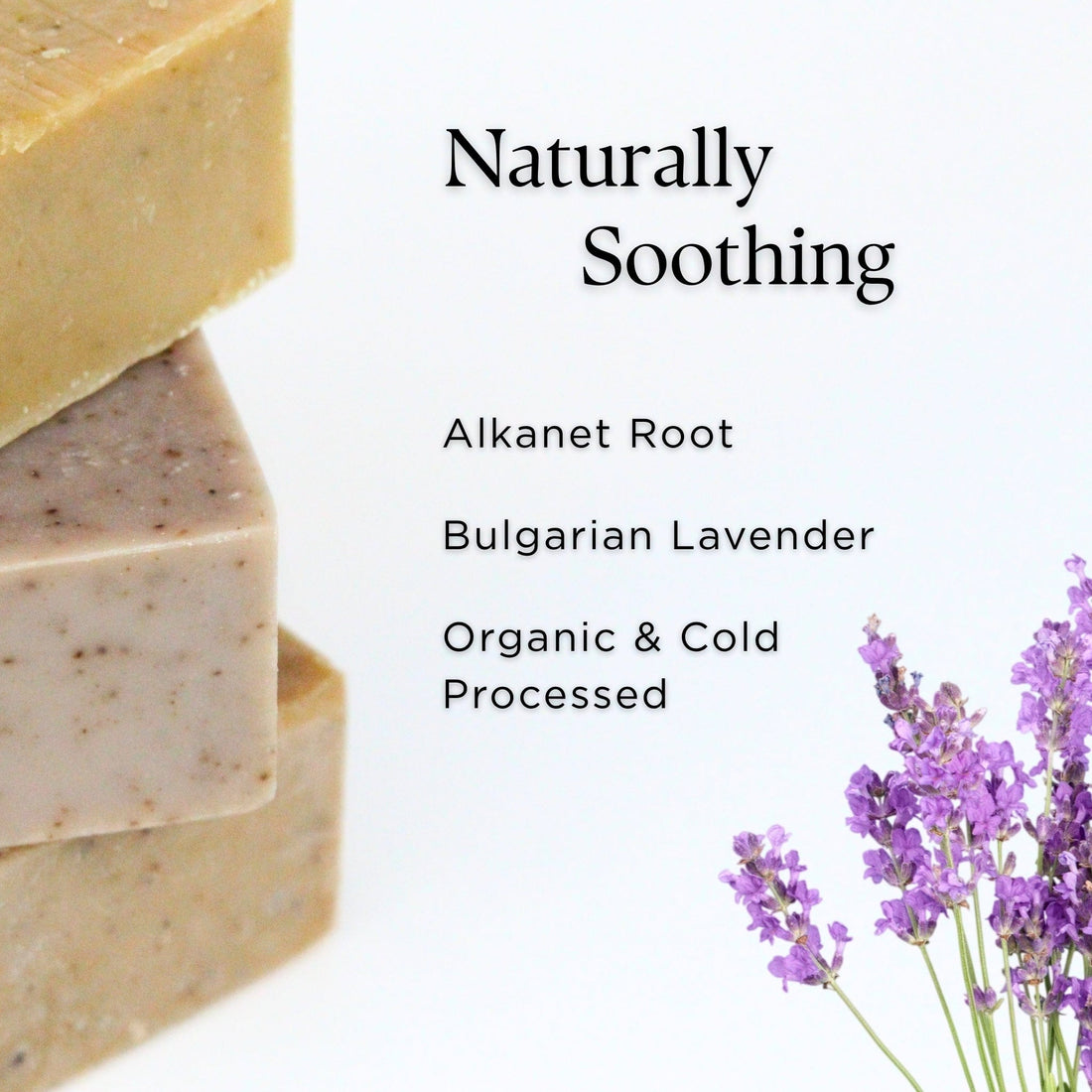 PROV 31™ Soap Bar Soap: Solace
