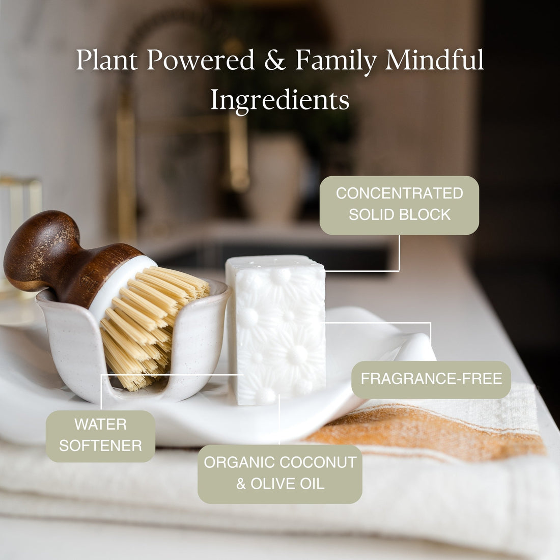 Dish &amp; Laundry Soap Block