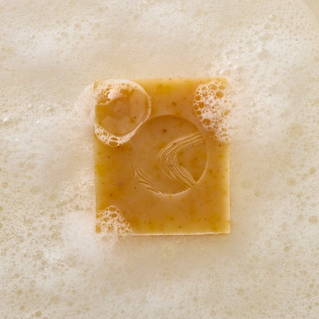 Apoterra Soap Pumpkin &amp; Wild Carrot Brightening Cleanser