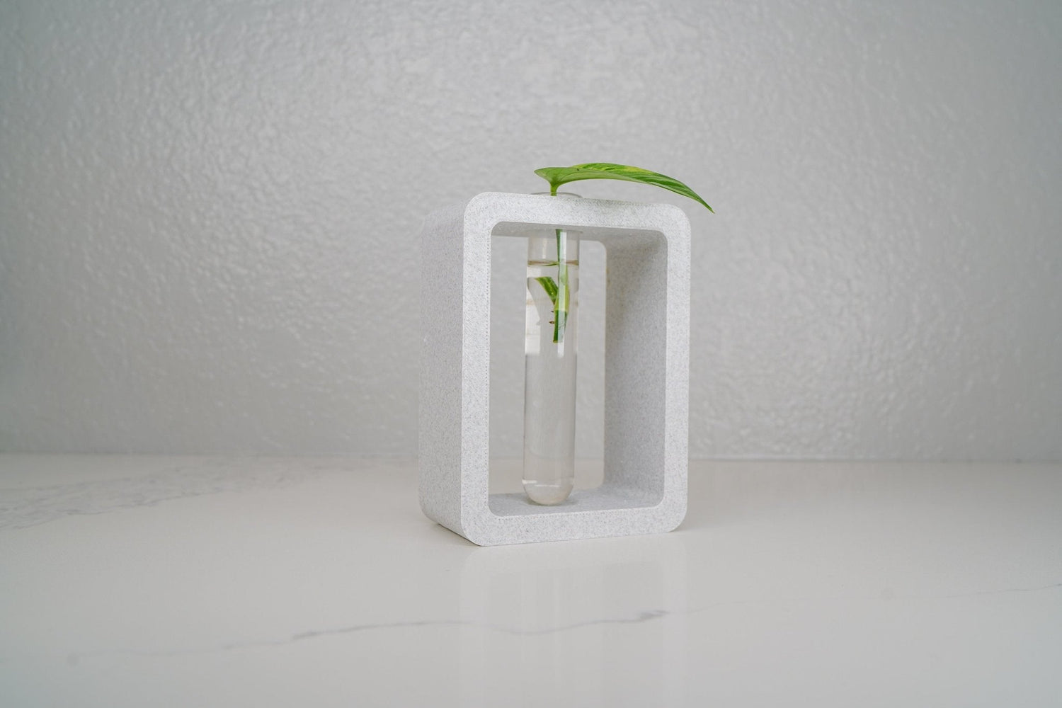 Rectangle Propagation Station - Rosebud HomeGoods Green Stand &amp; Tube MODERN HOME GOOD
