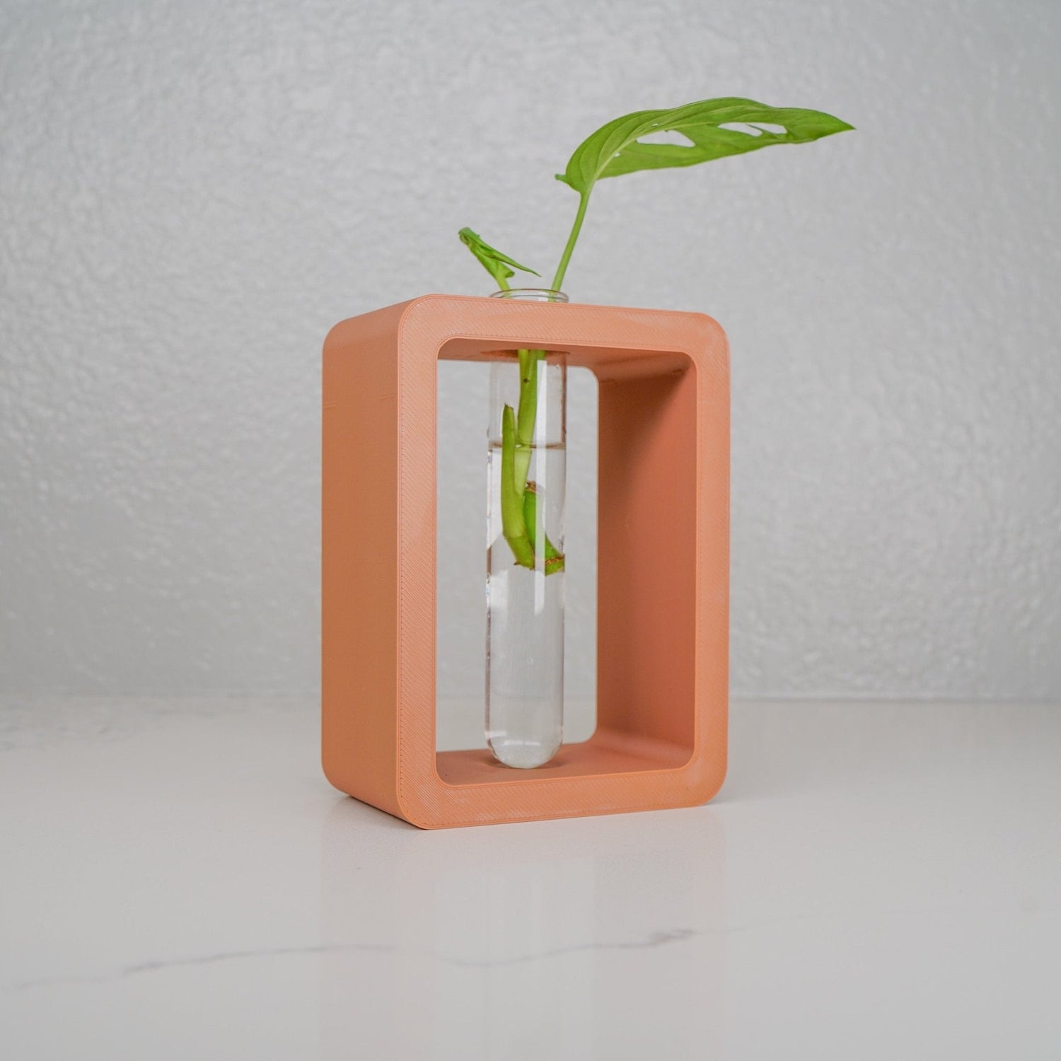 Rectangle Propagation Station - Rosebud HomeGoods Terracotta Stand &amp; Tube MODERN HOME GOOD