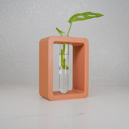 Rectangle Propagation Station - Rosebud HomeGoods Terracotta Stand &amp; Tube MODERN HOME GOOD