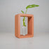 Rectangle Propagation Station - Rosebud HomeGoods Terracotta Stand & Tube MODERN HOME GOOD