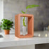 Rosebud HomeGoods Pots & Planters Black / Stand & Tube Rectangle Propagation Station