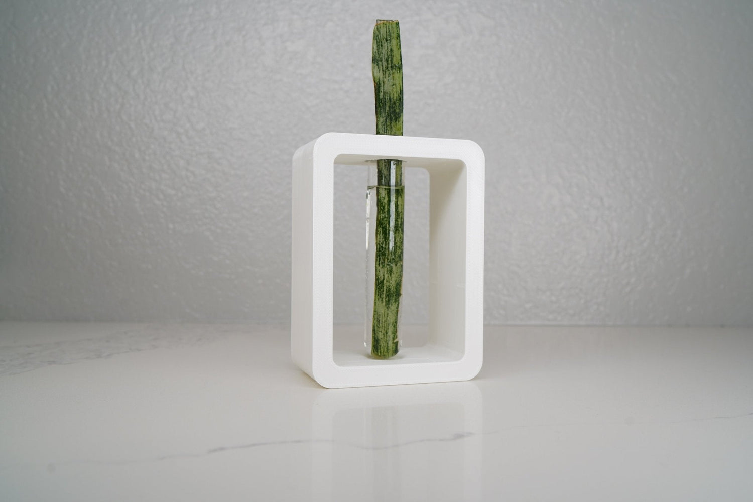 Rectangle Propagation Station - Rosebud HomeGoods White Stand &amp; Tube MODERN HOME GOOD