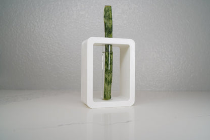 Rectangle Propagation Station - Rosebud HomeGoods White Stand &amp; Tube MODERN HOME GOOD