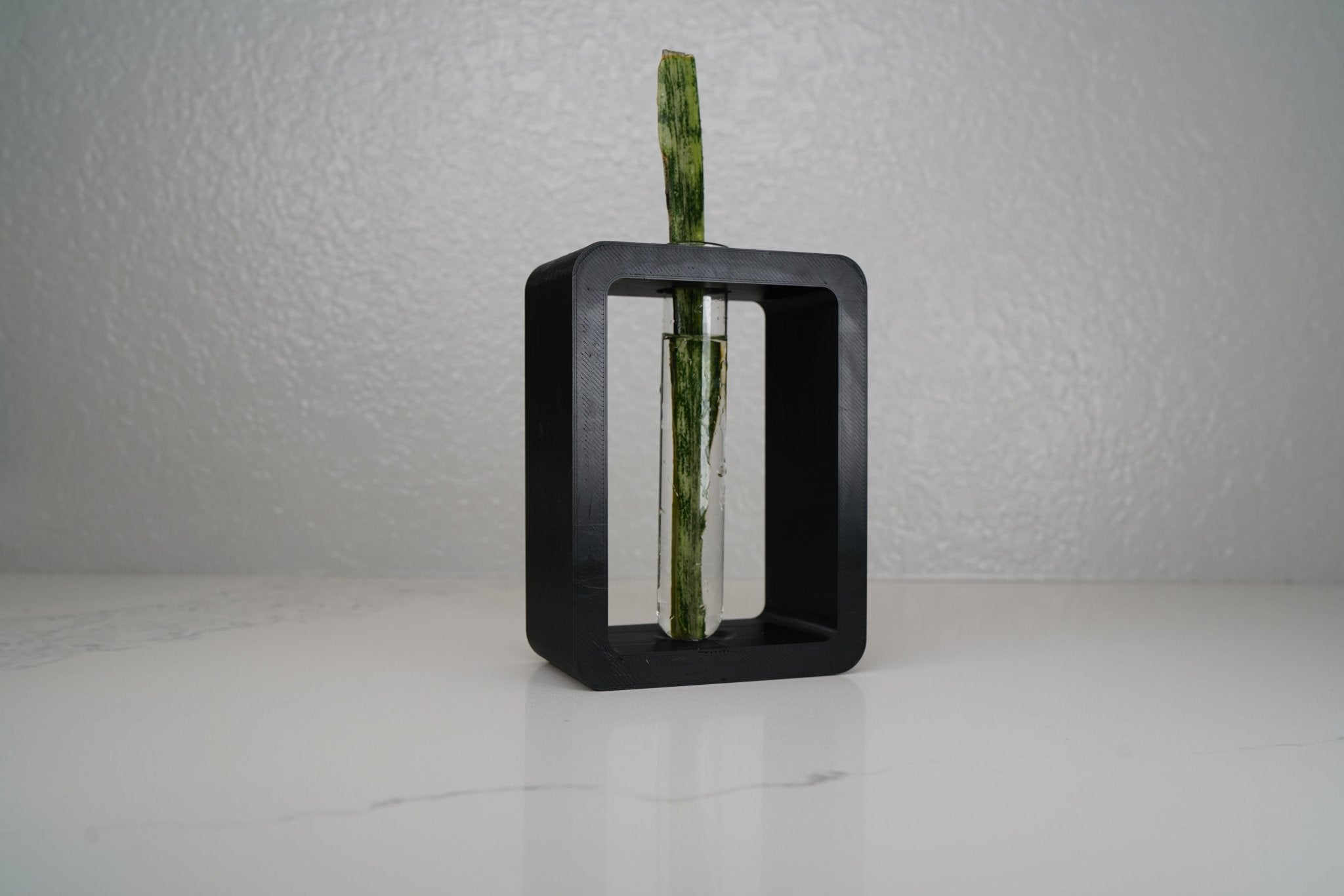 Rectangle Propagation Station - Rosebud HomeGoods Black Stand &amp; Tube MODERN HOME GOOD