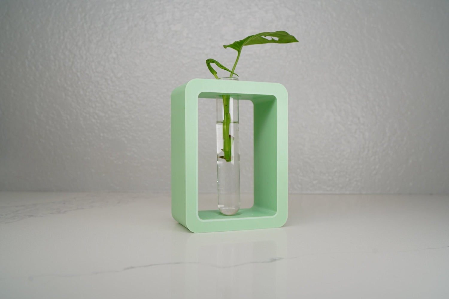 Rectangle Propagation Station - Rosebud HomeGoods White Stand &amp; Tube MODERN HOME GOOD