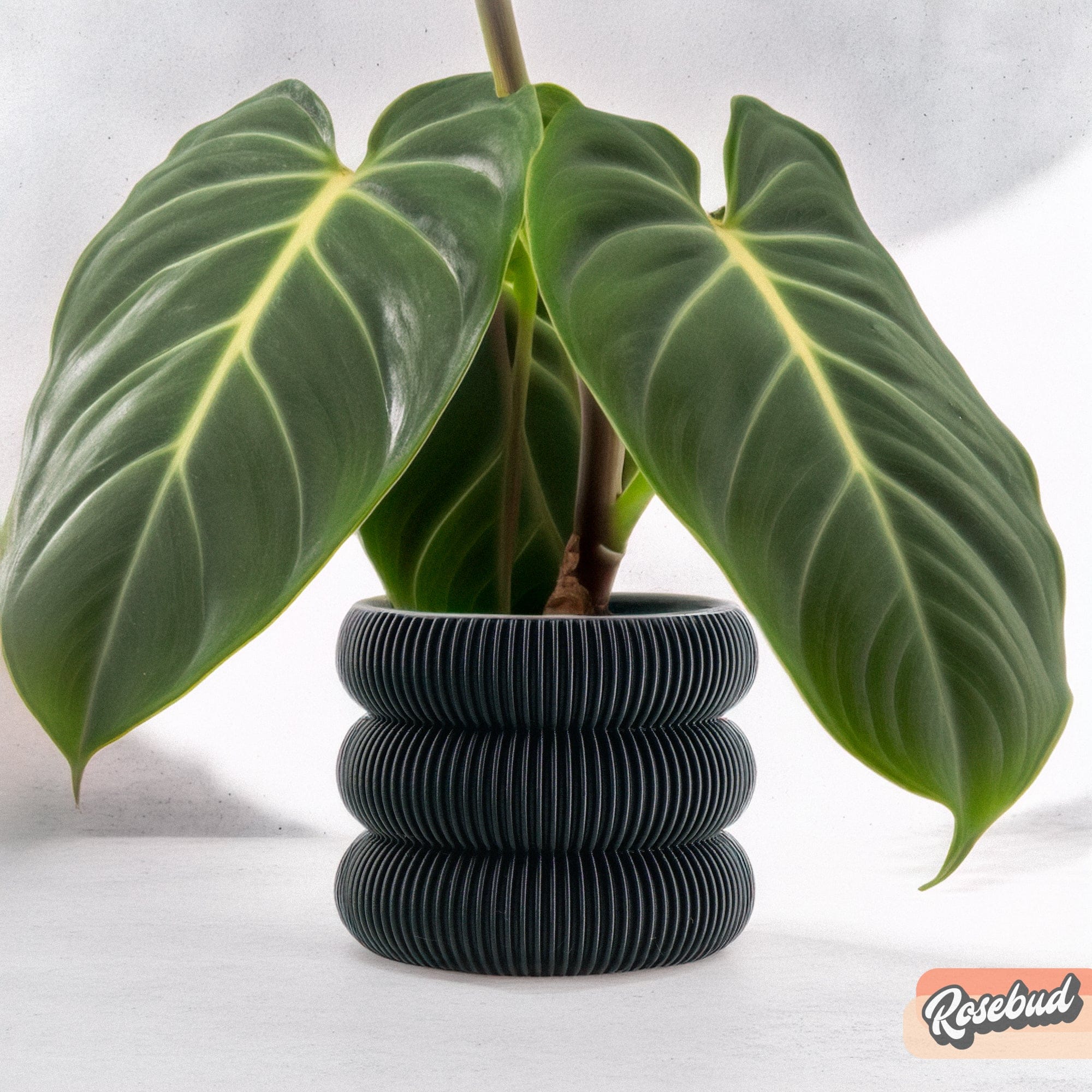 Rosebud HomeGoods Planter Black / 4 Inch - No Tray Ribbed Bubble Plant Pot With Drainage and Saucer
