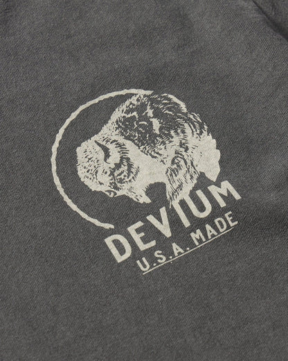 Devium Roamin&