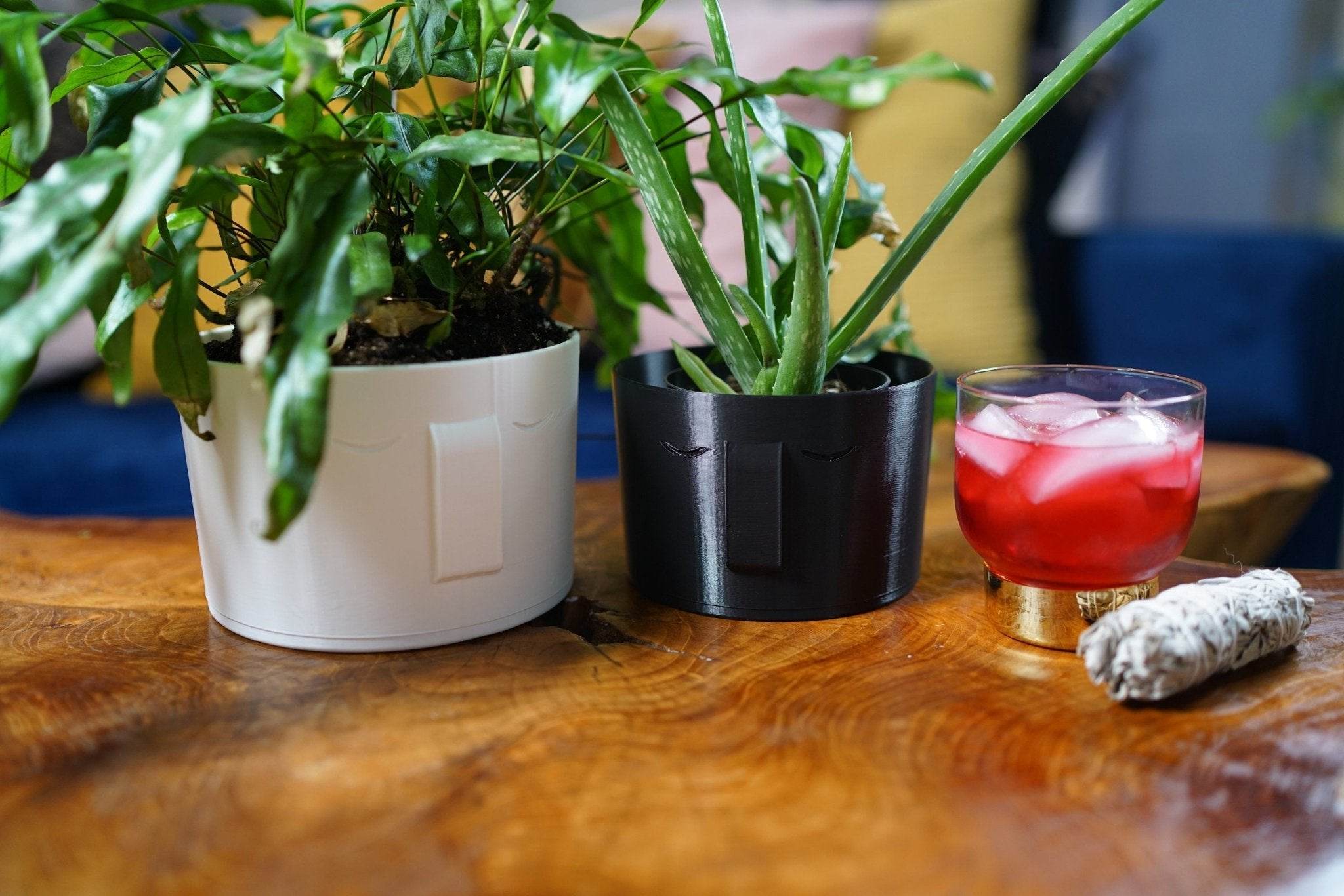Stonehenge Face Planter - My American Goods