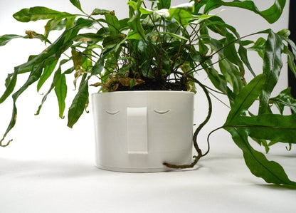 Stonehenge Face Planter - My American Goods