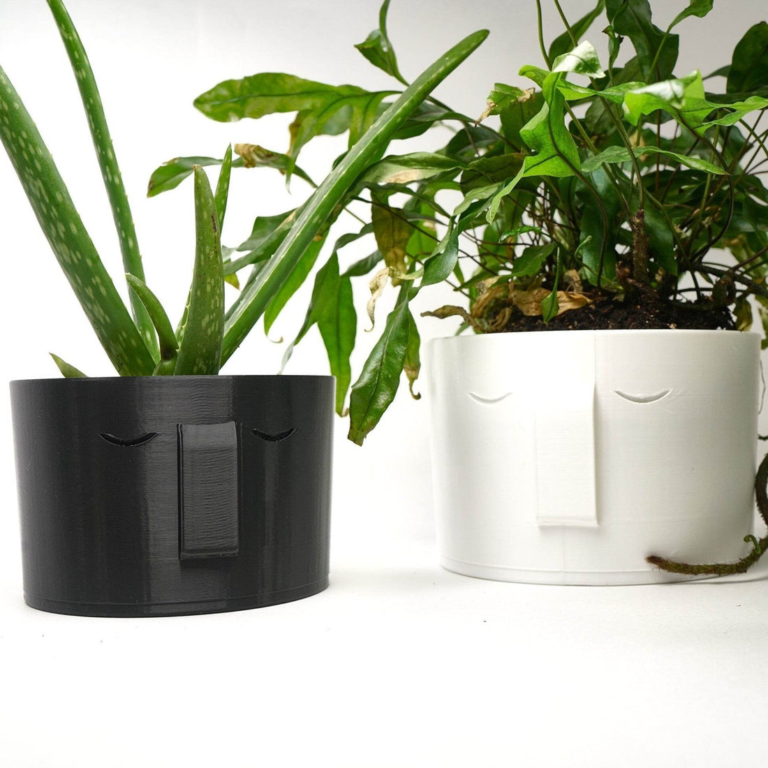 Stonehenge Face Planter - My American Goods