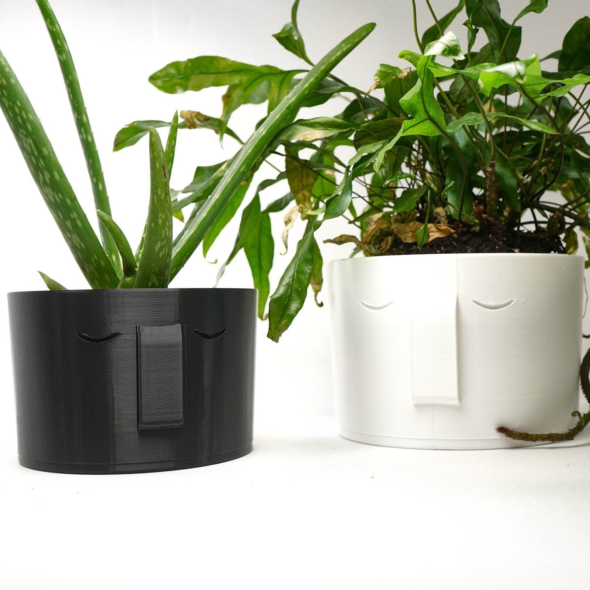 Stonehenge Face Planter - My American Goods