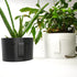 Stonehenge Face Planter - My American Goods