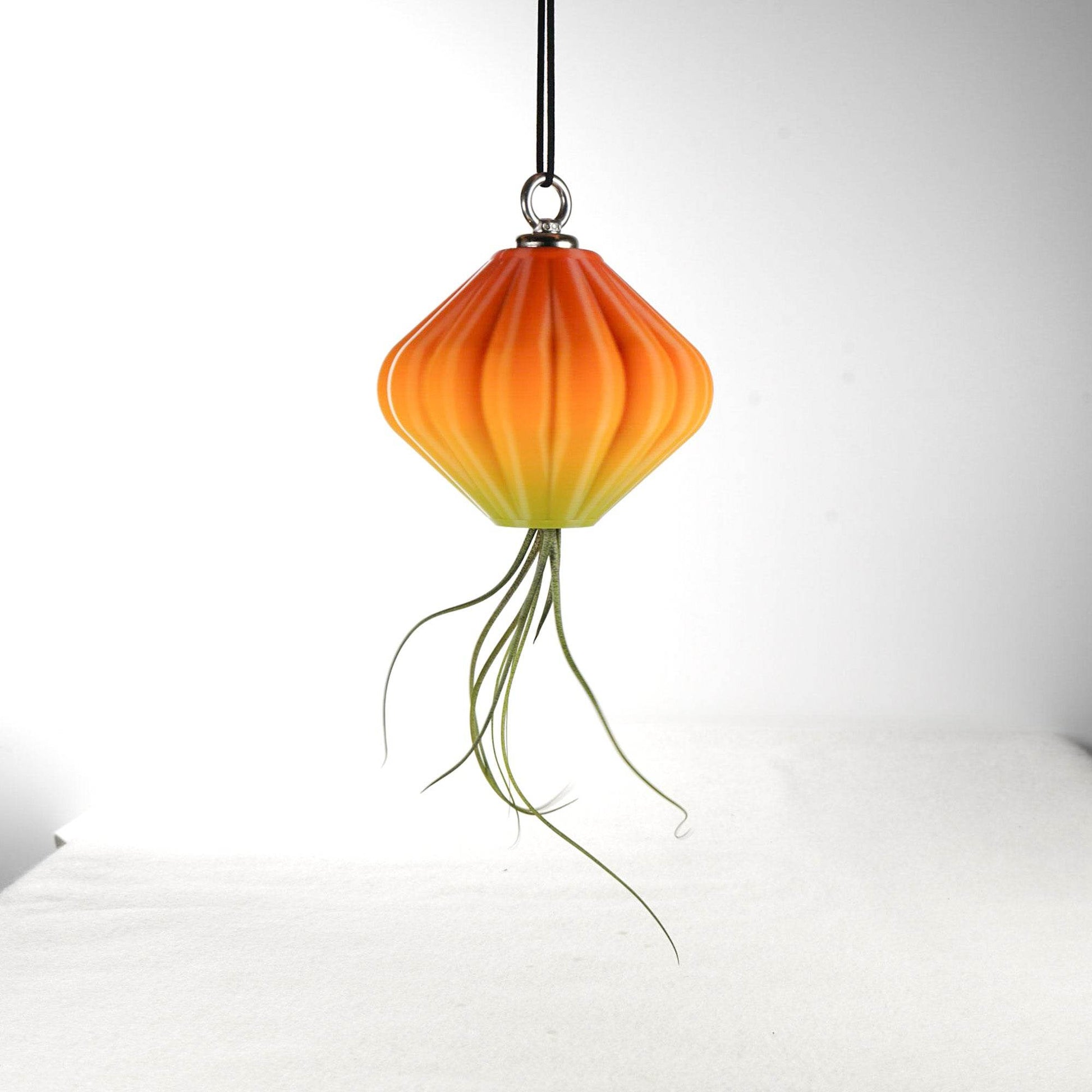 MAGNETIC Air Planter, JellyFish, Air Plant Included - My American Goods