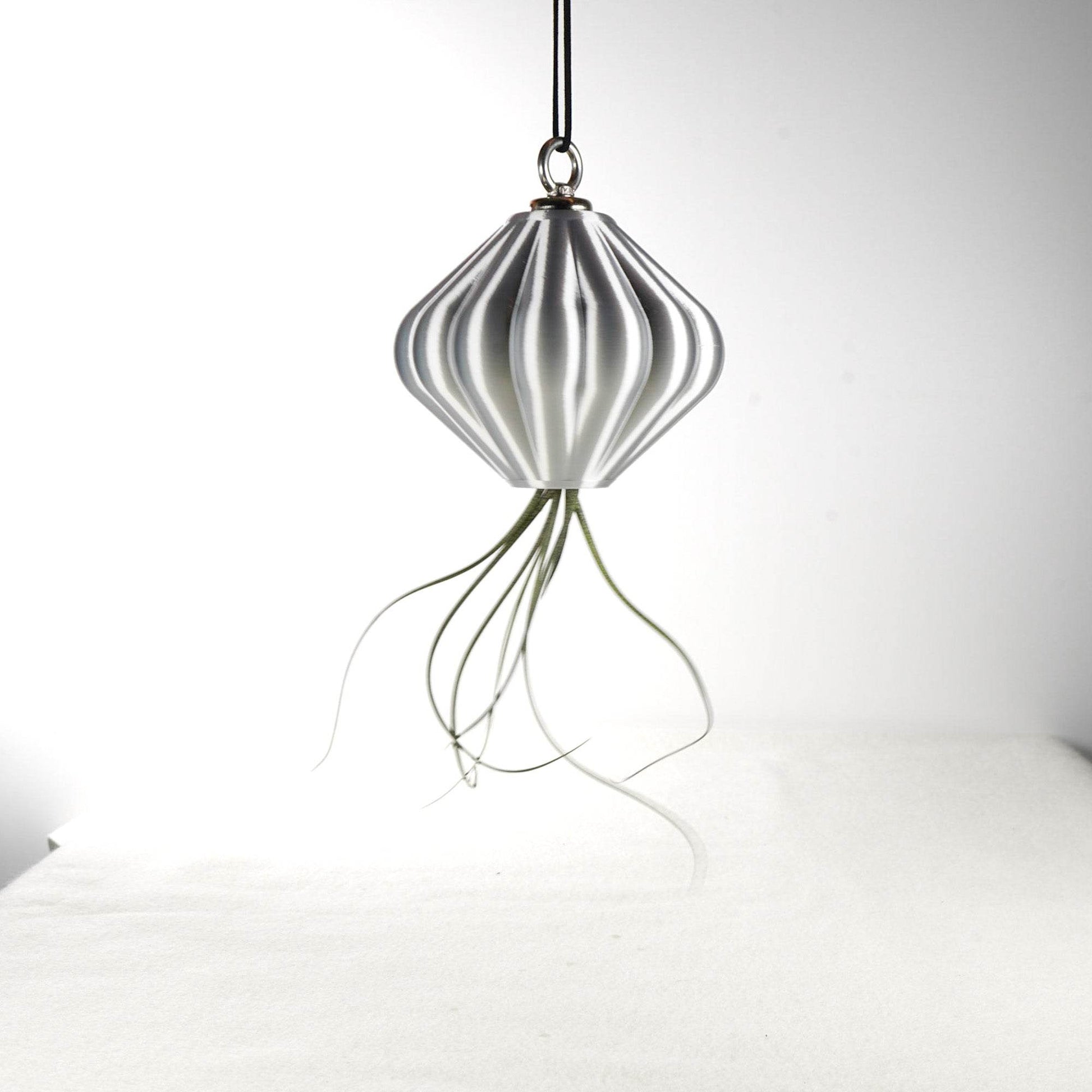 MAGNETIC Air Planter, JellyFish, Air Plant Included - My American Goods