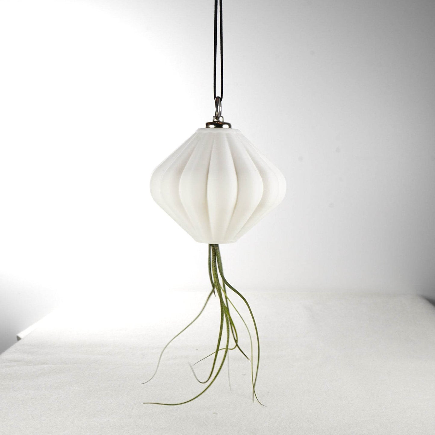 MAGNETIC Air Planter, JellyFish, Air Plant Included - My American Goods