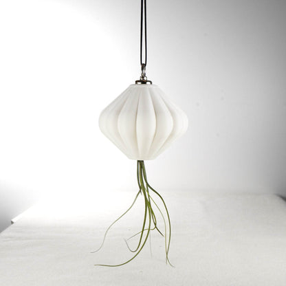 MAGNETIC Air Planter, JellyFish, Air Plant Included - My American Goods
