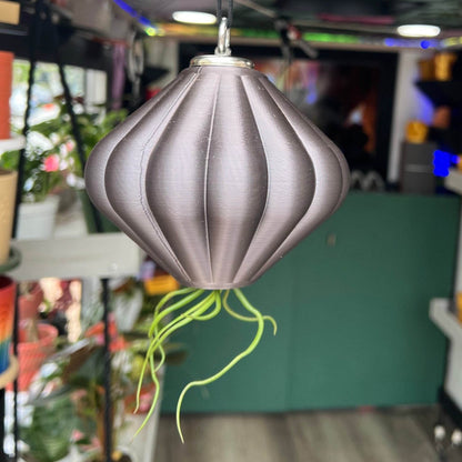 MAGNETIC Air Planter, JellyFish, Air Plant Included - My American Goods