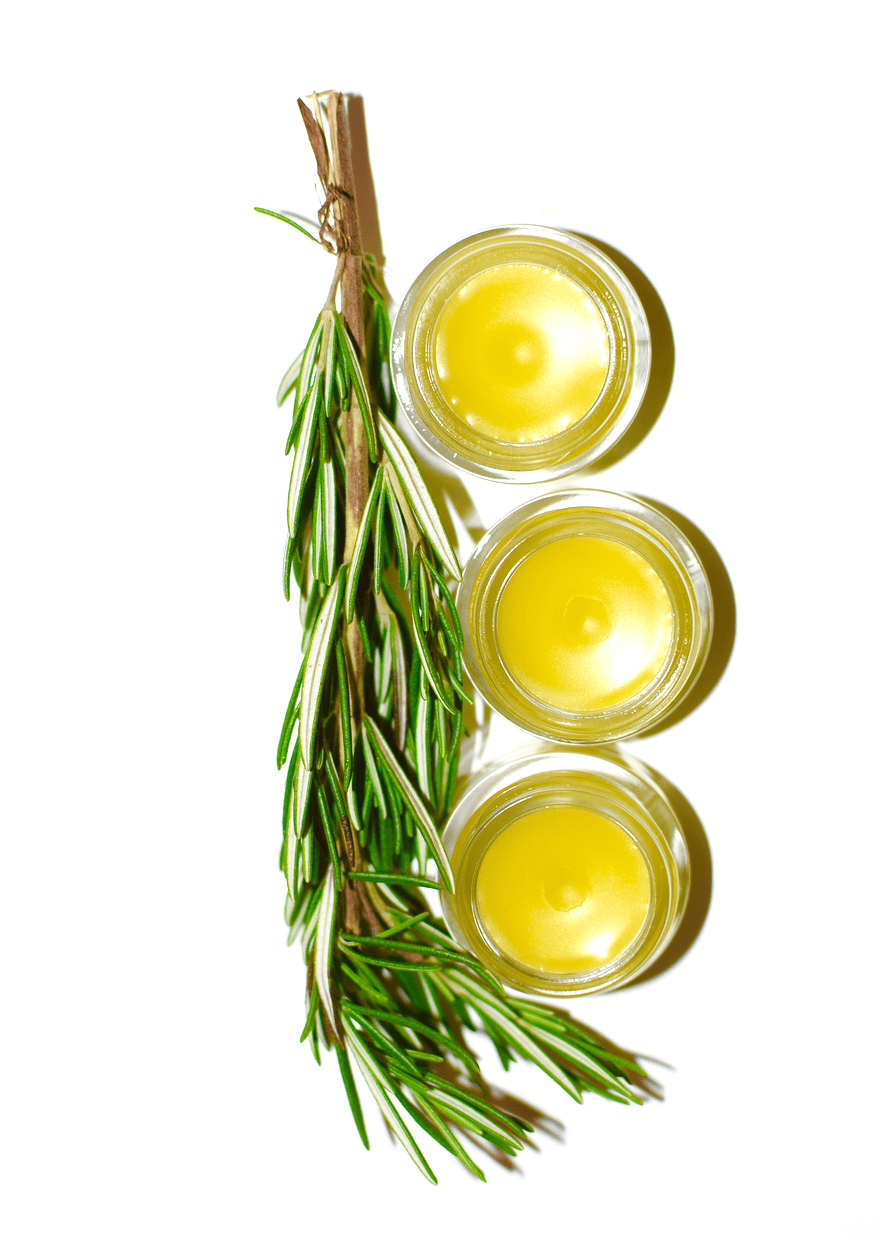 plant makeup Face Makeup Rosemary Anointing Balm
