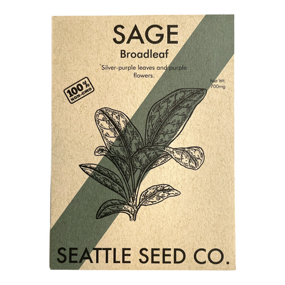 Broadleaf Sage Seeds