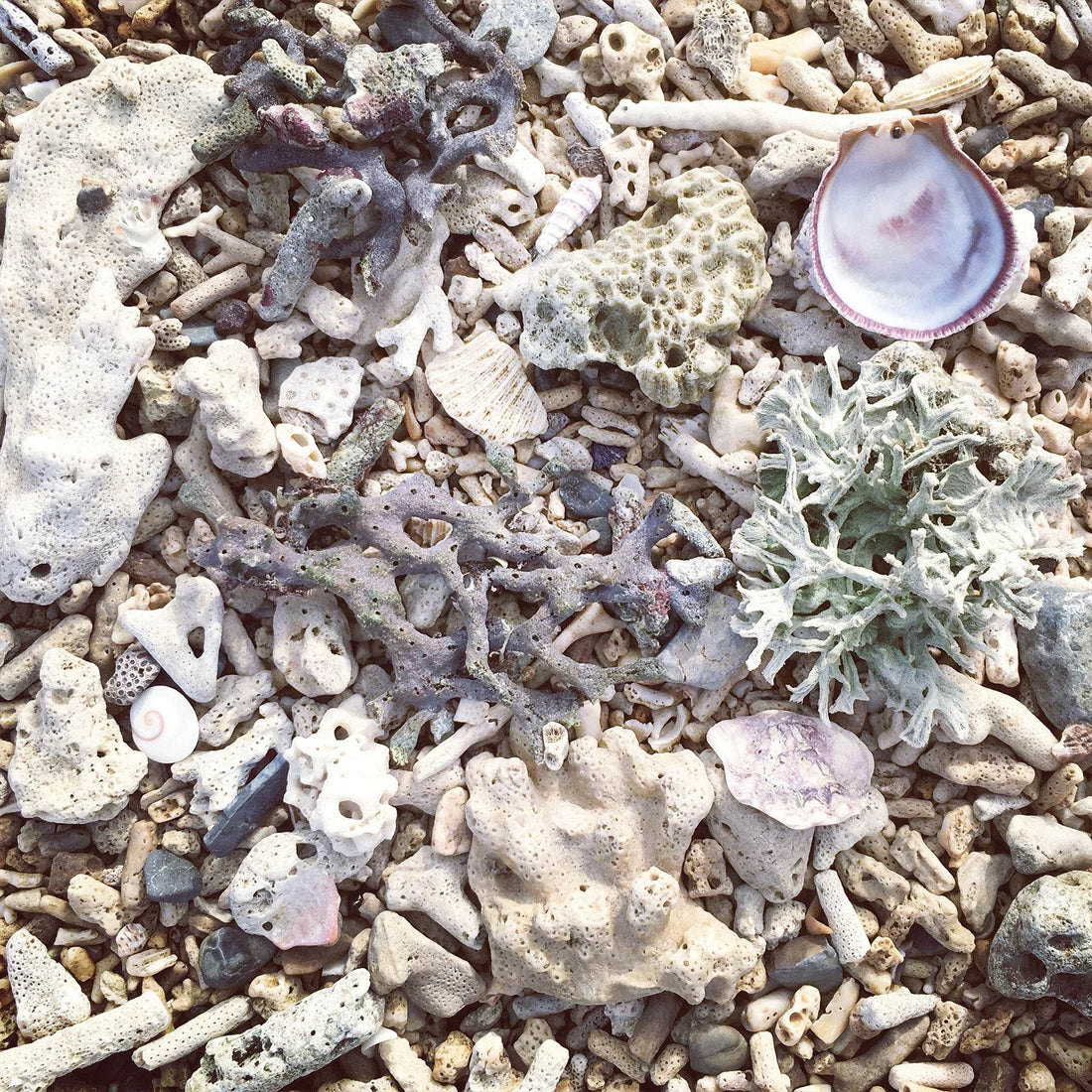 Shoreline Upcycled Salt Soak - My American Goods
