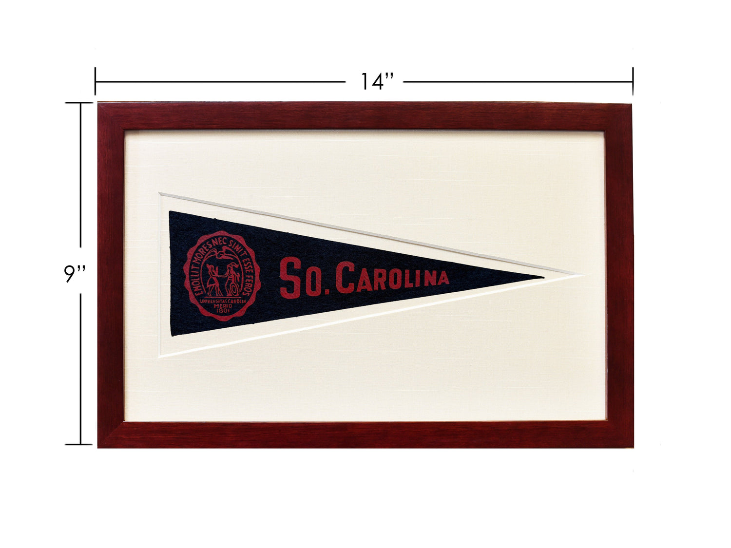 Vintage University of South Carolina Hormel Pennant