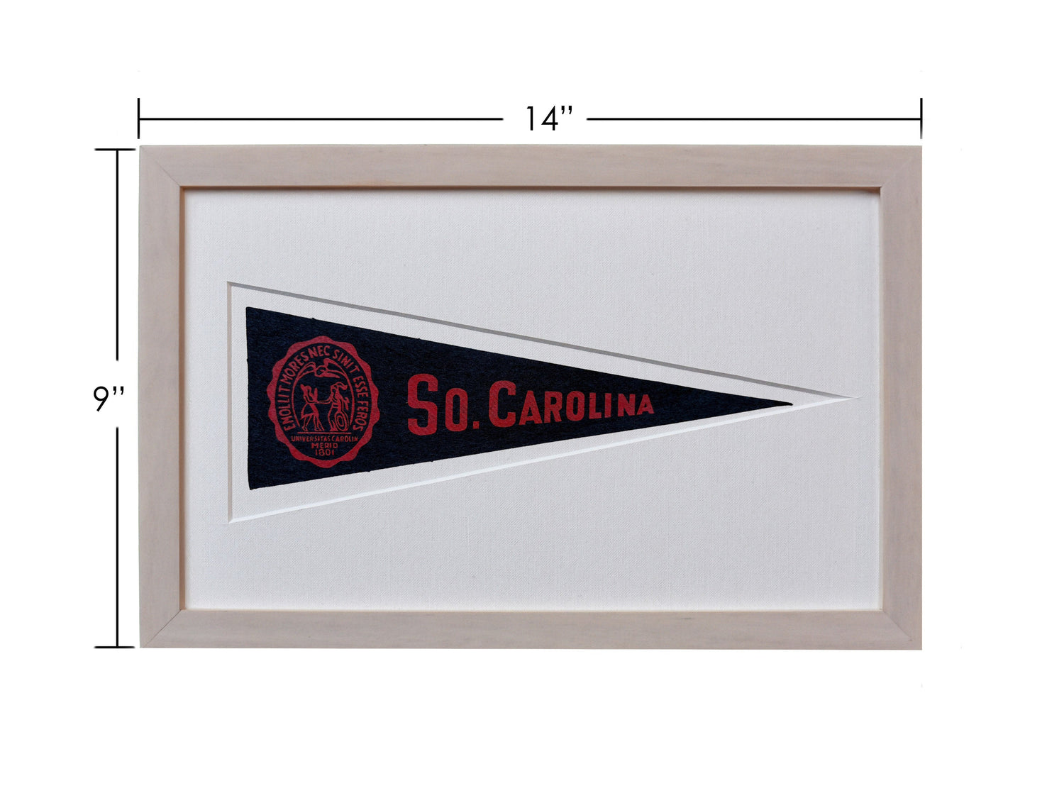 Vintage University of South Carolina Hormel Pennant