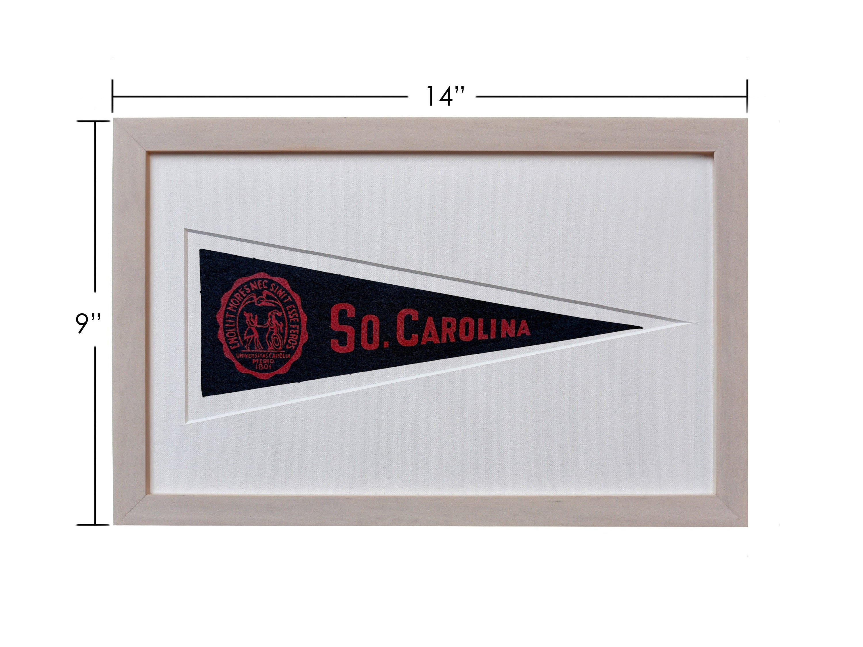 Americana Memories Vintage University of South Carolina Hormel Pennant