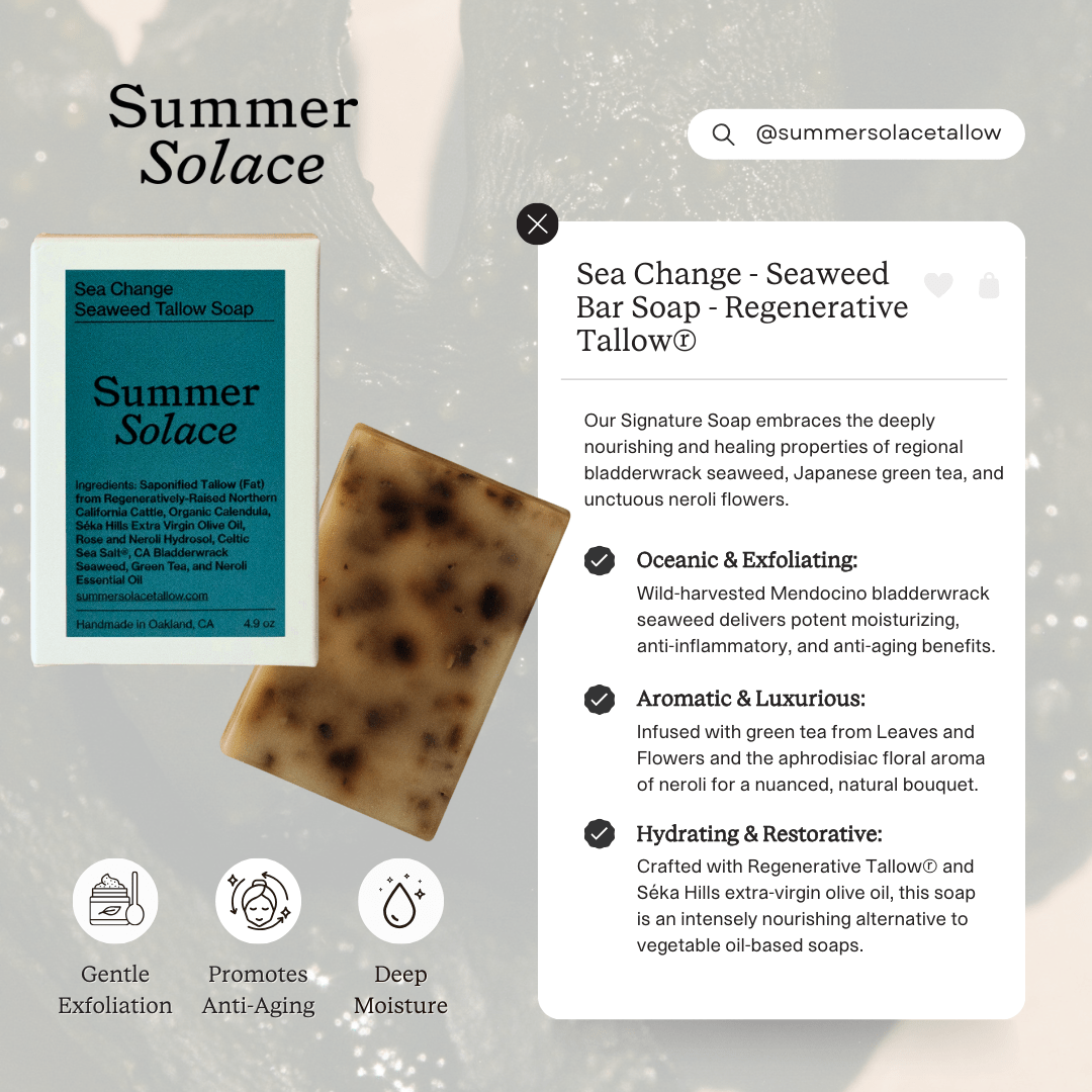 Summer Solace Tallow Tallow Soap Sea Change Seaweed Bar – Neroli &amp; Bladderwrack for Mineral-Rich Cleansing