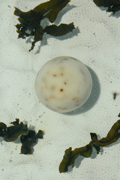 Sea Change – Seaweed Sphere Soap | Bladderwrack &amp; Neroli - My American Goods