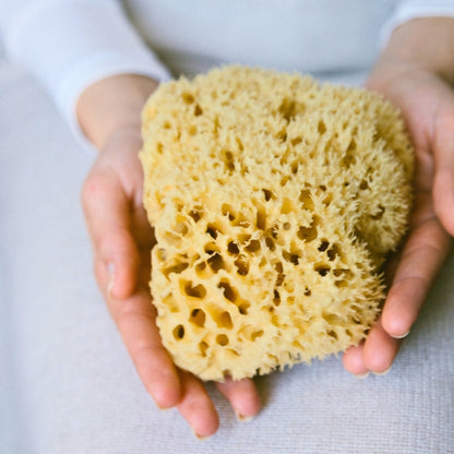Sea Sponge, Sustainably Harvested - My American Goods