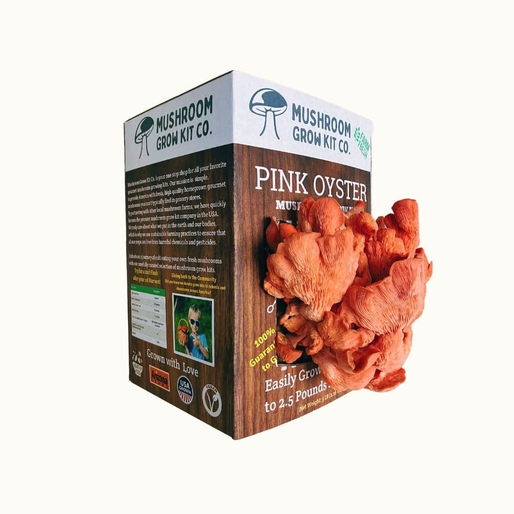 Mushroom Grow Kit Co. Oyster Mushrooms Premium Pink Oyster Mushroom Growing Kit - 5 LBS