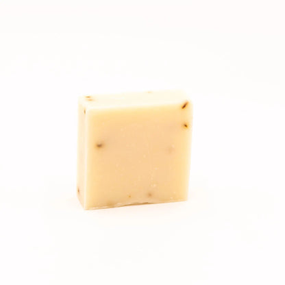 Eucalyptus Fields Olive Oil Bar Soap | Shower Candy