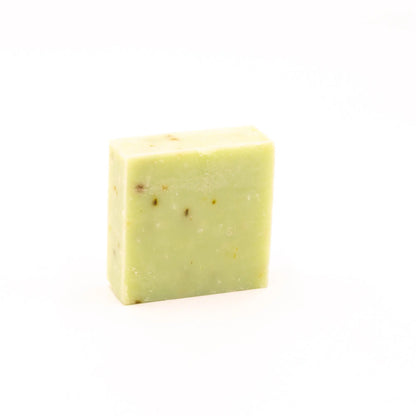 Tide &amp; Bloom Sea Salt Body Wash Bar | Shower Candy