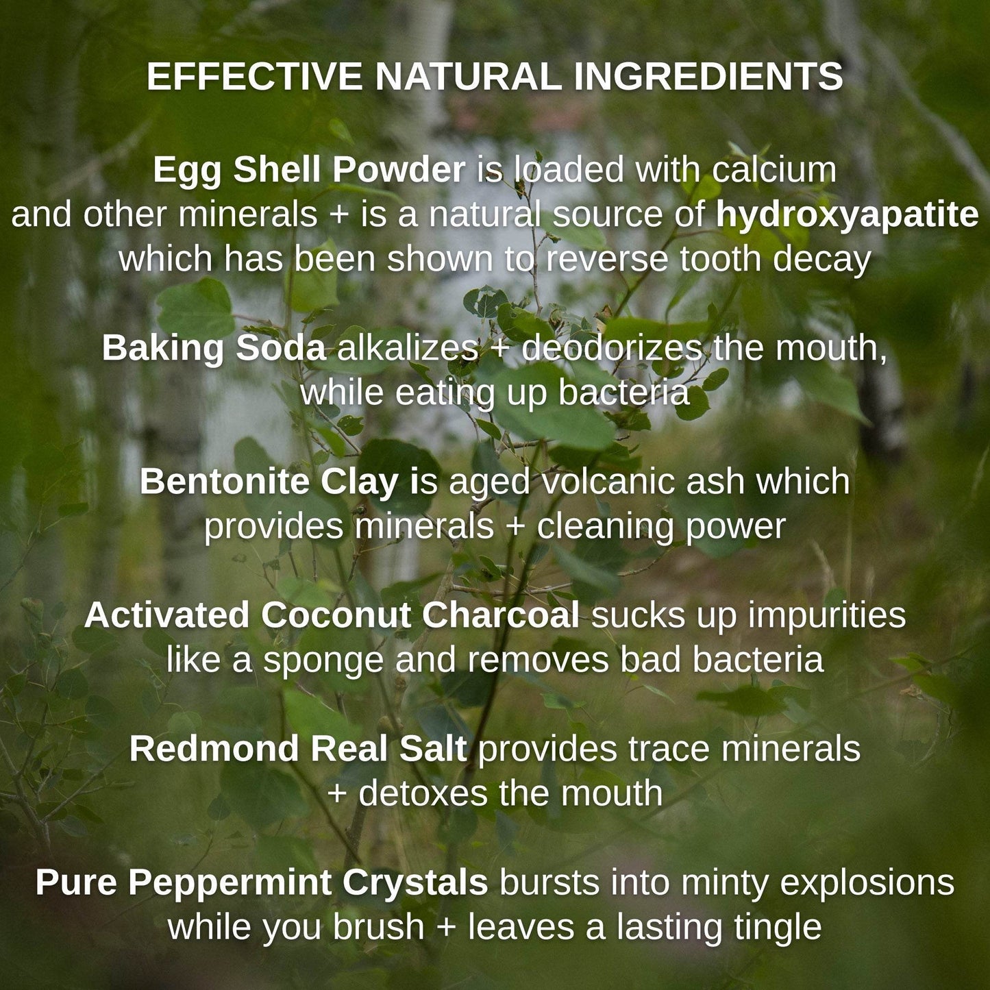 Magical Hydroxyapatite Cattle Bone & Egg Shell Tooth Powder by Shwally - My American Goods