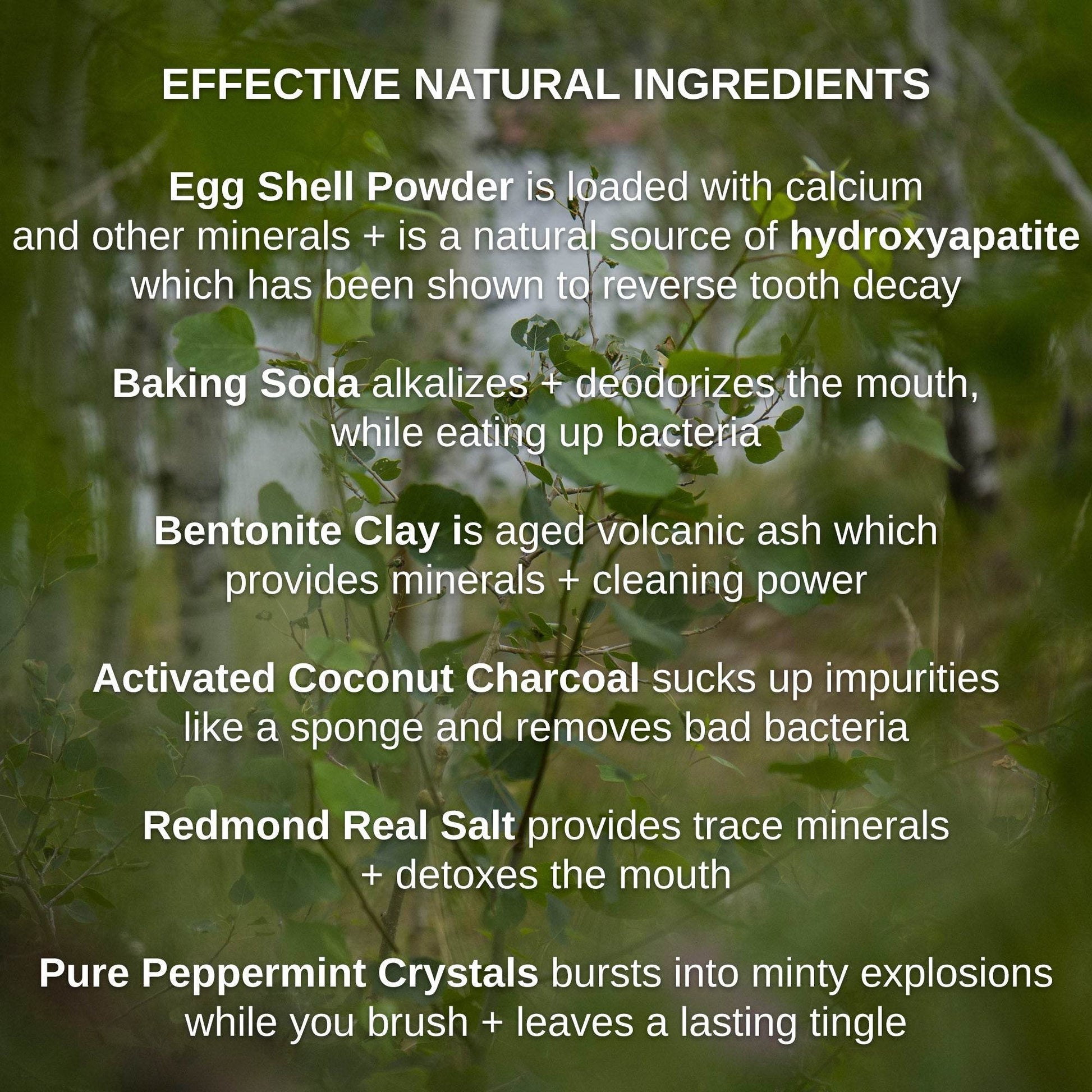 Magical Hydroxyapatite Cattle Bone & Egg Shell Tooth Powder by Shwally - My American Goods