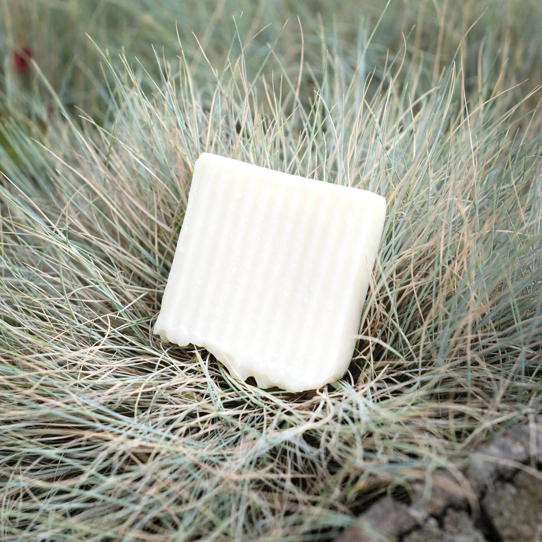 Tallow Soap &amp; Shampoo &amp; Shaving Cream - My American Goods