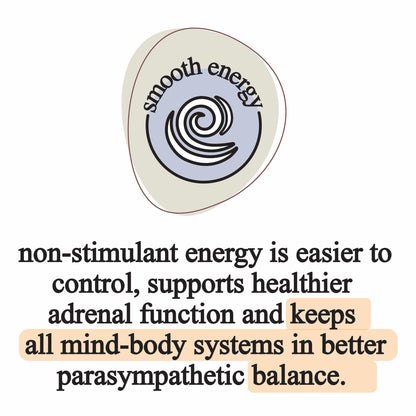 Elemental Organic Mushroom Extract Blend