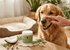 Lizush dog Natural Snout Balm for PETS