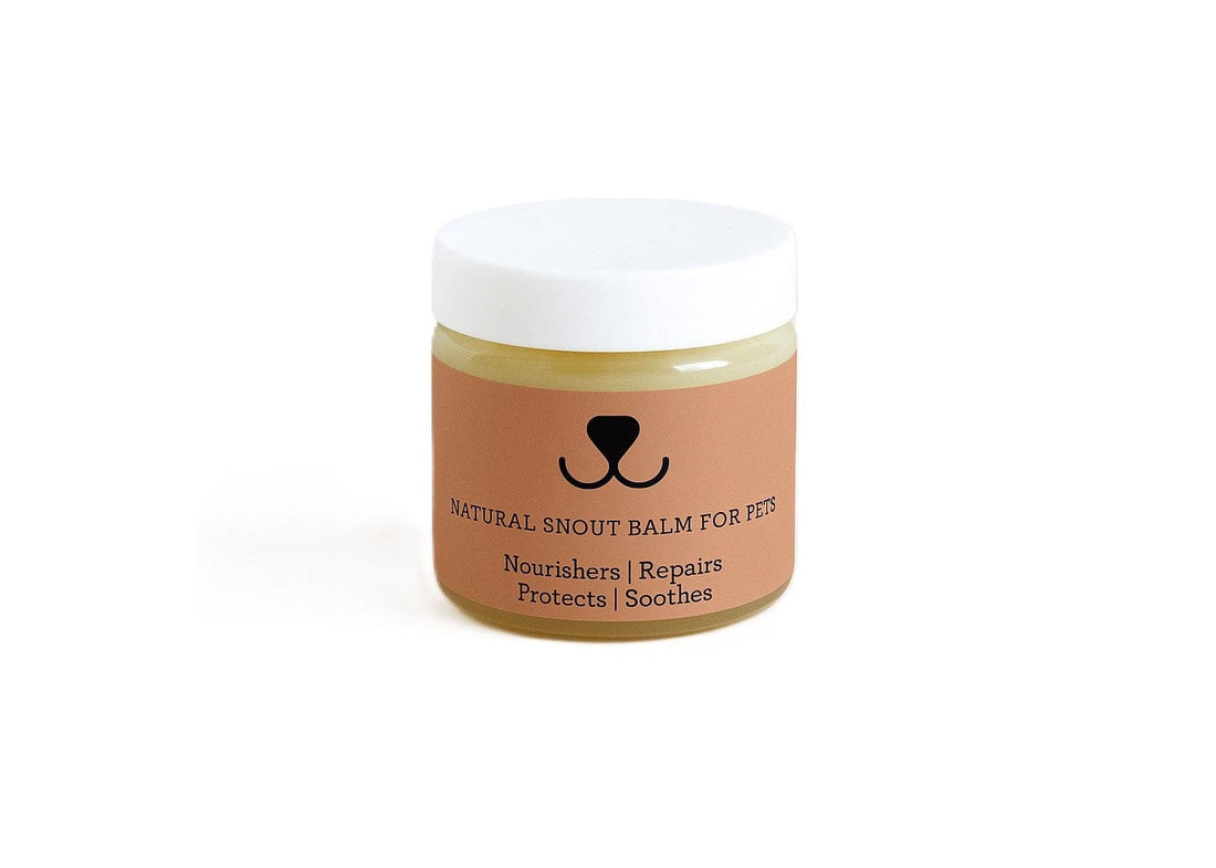 Lizush dog Natural Snout Balm for PETS